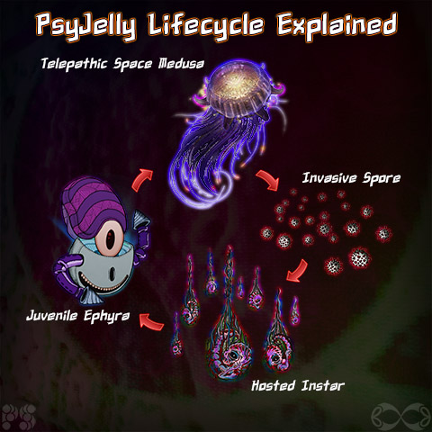 PsyJelly Lifecycle