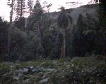 CNXT0085_2