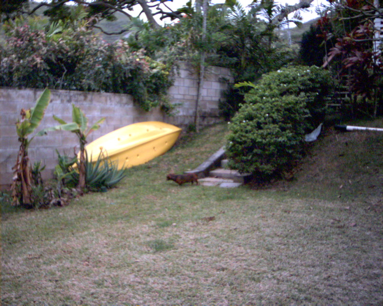 CNXT0139