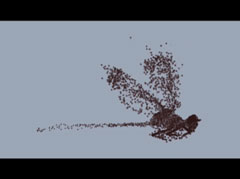 Particle Dragonfly